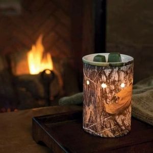 Scentsy warmer